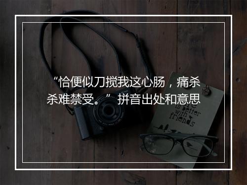 “恰便似刀搅我这心肠，痛杀杀难禁受。”拼音出处和意思