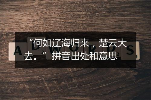 “何如辽海归来，楚云大去。”拼音出处和意思