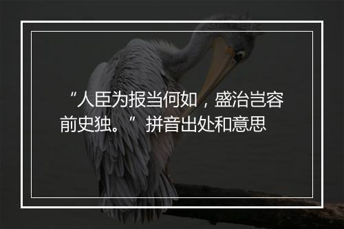 “人臣为报当何如，盛治岂容前史独。”拼音出处和意思