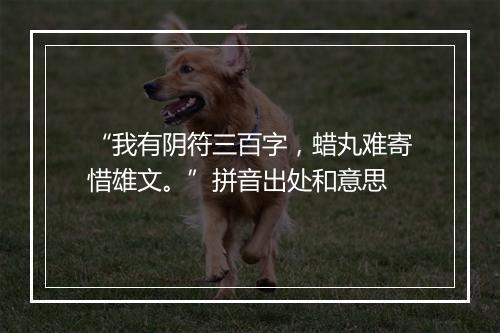 “我有阴符三百字，蜡丸难寄惜雄文。”拼音出处和意思