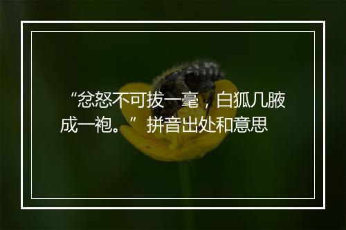 “忿怒不可拔一毫，白狐几腋成一袍。”拼音出处和意思