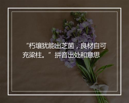 “朽壤犹能出芝菌，良材自可充梁柱。”拼音出处和意思