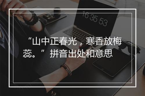 “山中正春光，寒香放梅蕊。”拼音出处和意思