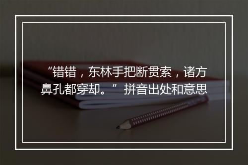 “错错，东林手把断贯索，诸方鼻孔都穿却。”拼音出处和意思