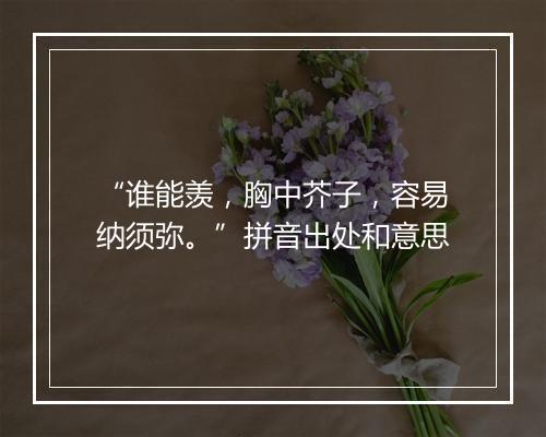 “谁能羡，胸中芥子，容易纳须弥。”拼音出处和意思