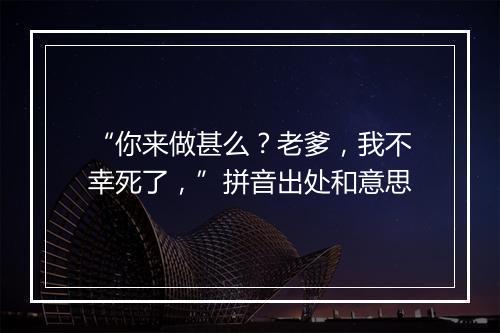 “你来做甚么？老爹，我不幸死了，”拼音出处和意思