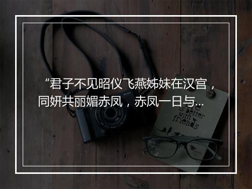 “君子不见昭仪飞燕姊妹在汉宫，同妍共丽媚赤凤，赤凤一日与俱逝长空。”拼音出处和意思