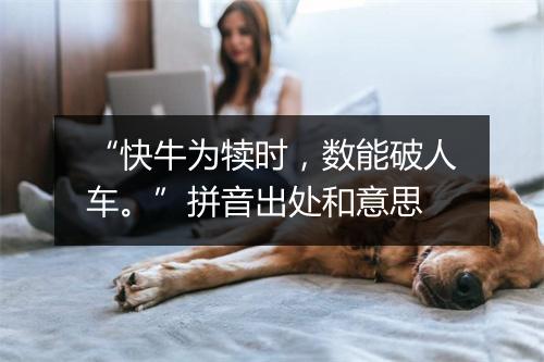 “快牛为犊时，数能破人车。”拼音出处和意思