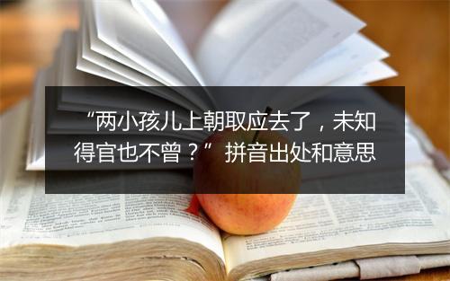 “两小孩儿上朝取应去了，未知得官也不曾？”拼音出处和意思