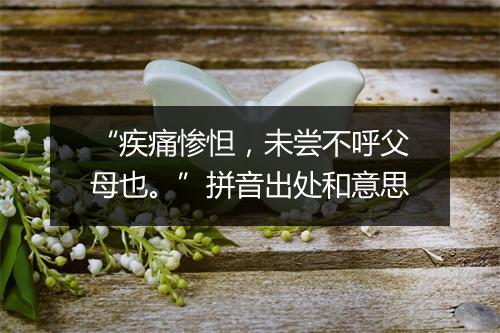 “疾痛惨怛，未尝不呼父母也。”拼音出处和意思