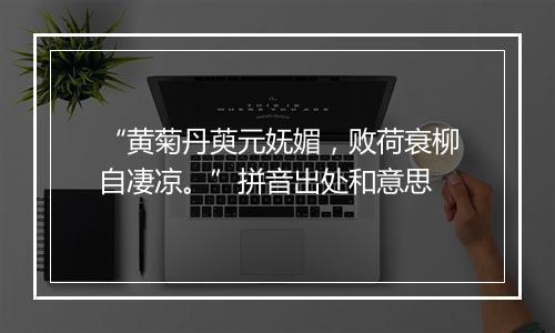 “黄菊丹萸元妩媚，败荷衰柳自凄凉。”拼音出处和意思