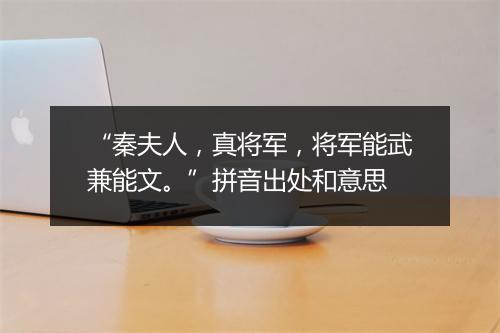 “秦夫人，真将军，将军能武兼能文。”拼音出处和意思