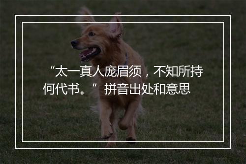 “太一真人庞眉须，不知所持何代书。”拼音出处和意思