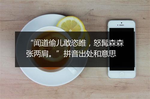 “闻道偷儿敢恣睢，怒髯森森张两肩。”拼音出处和意思