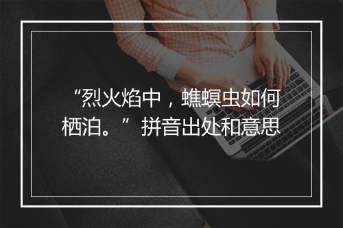 “烈火焰中，蟭螟虫如何栖泊。”拼音出处和意思