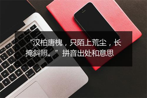 “汉柏唐槐，只陌上荒尘，长掩斜照。”拼音出处和意思