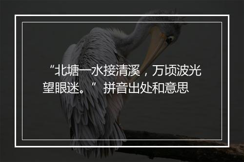 “北塘一水接清溪，万顷波光望眼迷。”拼音出处和意思