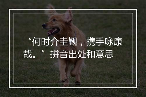 “何时介圭觐，携手咏康哉。”拼音出处和意思