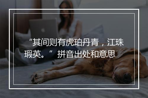 “其间则有虎珀丹青，江珠瑕英。”拼音出处和意思