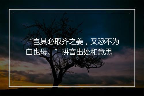 “岂其必取齐之姜，又恐不为白也母。”拼音出处和意思