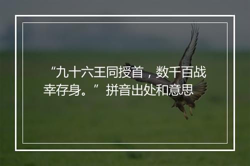 “九十六王同授首，数千百战幸存身。”拼音出处和意思