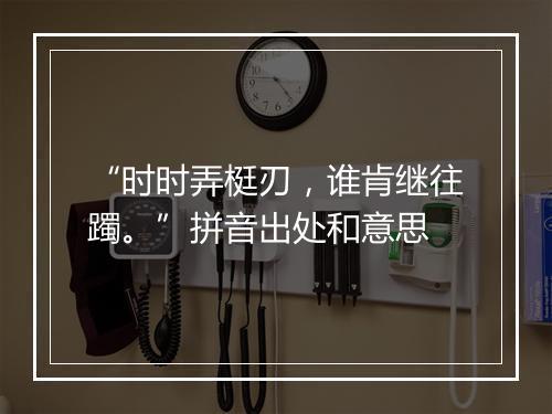 “时时弄梃刃，谁肯继往躅。”拼音出处和意思