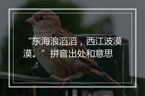 “东海浪滔滔，西江波漠漠。”拼音出处和意思