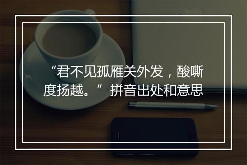 “君不见孤雁关外发，酸嘶度扬越。”拼音出处和意思