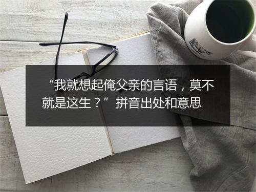 “我就想起俺父亲的言语，莫不就是这生？”拼音出处和意思