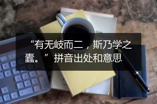 “有无岐而二，斯乃学之蠹。”拼音出处和意思