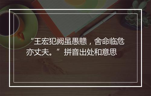 “王宏犯阙虽愚戆，舍命临危亦丈夫。”拼音出处和意思