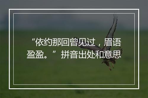 “依约那回曾见过，眉语盈盈。”拼音出处和意思