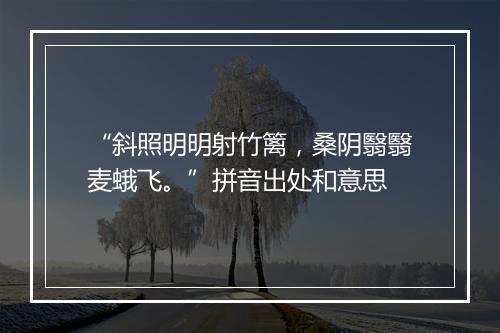 “斜照明明射竹篱，桑阴翳翳麦蛾飞。”拼音出处和意思