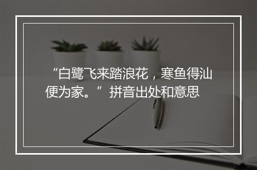 “白鹭飞来踏浪花，寒鱼得汕便为家。”拼音出处和意思