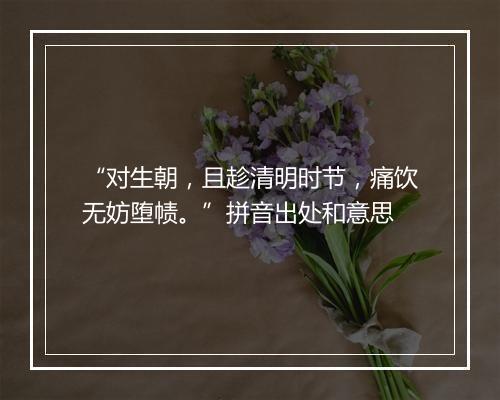 “对生朝，且趁清明时节，痛饮无妨堕帻。”拼音出处和意思