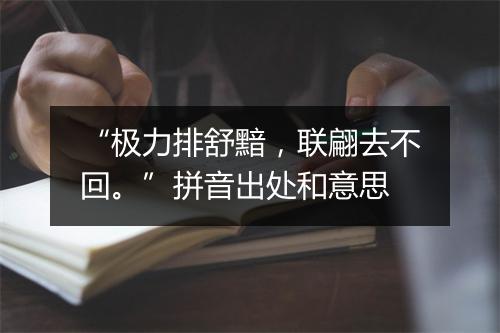 “极力排舒黯，联翩去不回。”拼音出处和意思