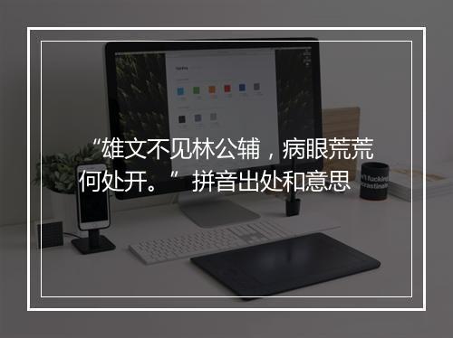 “雄文不见林公辅，病眼荒荒何处开。”拼音出处和意思