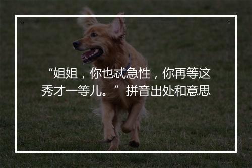 “姐姐，你也忒急性，你再等这秀才一等儿。”拼音出处和意思