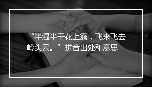 “半湿半干花上露，飞来飞去岭头云。”拼音出处和意思