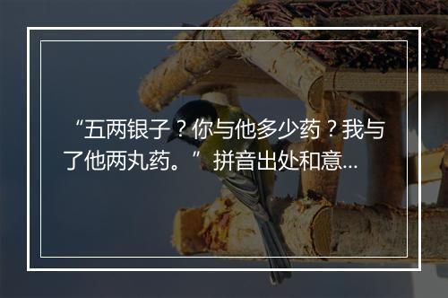 “五两银子？你与他多少药？我与了他两丸药。”拼音出处和意思