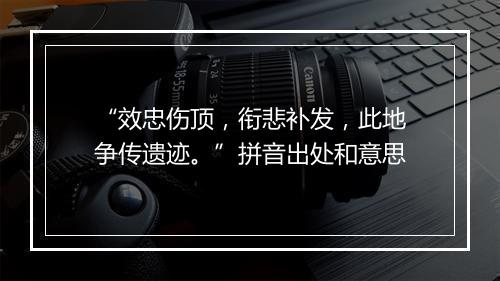 “效忠伤顶，衔悲补发，此地争传遗迹。”拼音出处和意思