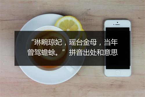 “琳畹琼妃，瑶台金母，当年曾驾蟾蜍。”拼音出处和意思