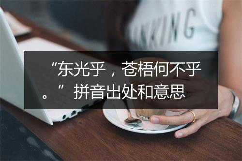 “东光乎，苍梧何不乎。”拼音出处和意思