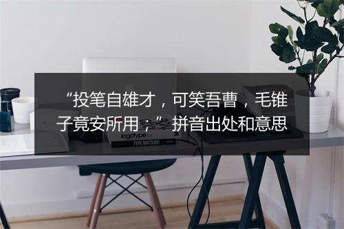 “投笔自雄才，可笑吾曹，毛锥子竟安所用；”拼音出处和意思