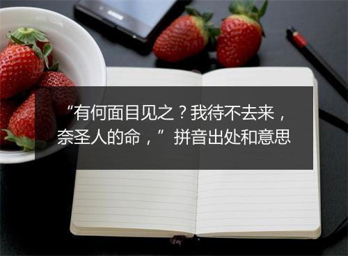 “有何面目见之？我待不去来，奈圣人的命，”拼音出处和意思