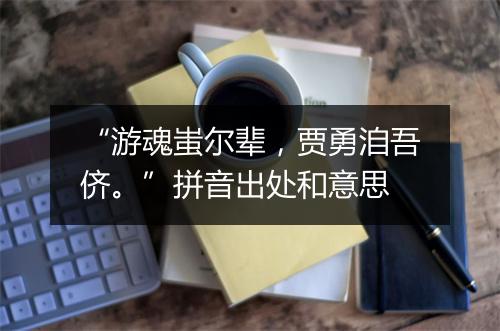 “游魂蚩尔辈，贾勇洎吾侪。”拼音出处和意思