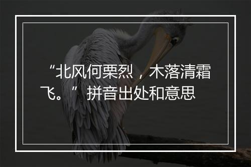 “北风何栗烈，木落清霜飞。”拼音出处和意思