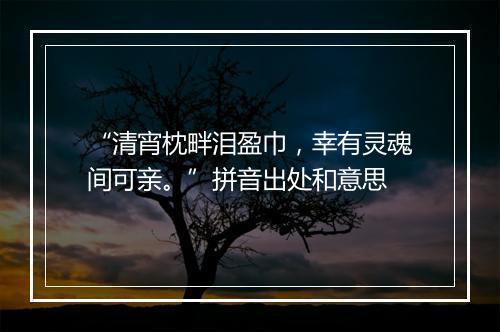 “清宵枕畔泪盈巾，幸有灵魂间可亲。”拼音出处和意思