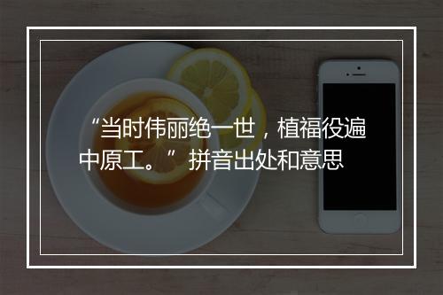 “当时伟丽绝一世，植福役遍中原工。”拼音出处和意思