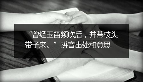 “曾经玉笛频吹后，并蒂枝头带子来。”拼音出处和意思